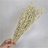 Овес натуральный крупный Av_705